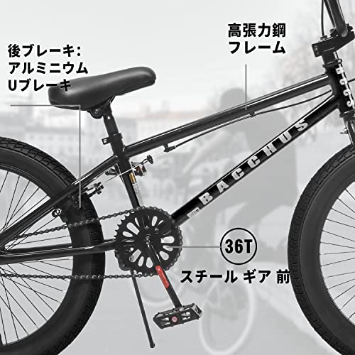 J545 ★多少の小キズ有り★BMX★AVASTA BACCHUS★20インチ Amazon.co.jp: 【AVASTA】BacchusフリースタイルBMX自転車 2.4×20