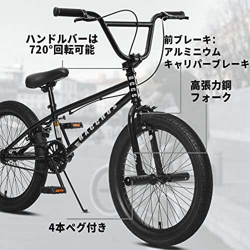 AVASTA Bacchus BMX自転車 20インチ フリースタイルBMXバイク スチール