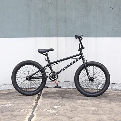 AVASTA Bacchus BMX自転車 20インチ フリースタイルBMXバイク スチール