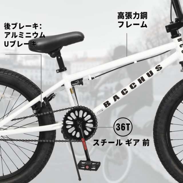 AVASTA Bacchus BMX自転車 20インチ フリースタイルBMXバイク スチール製 子供/初心者/ジュニア練習用 高炭素鋼フレーム  アルミニウム合の通販はau PAY マーケット - エブリデイセレクト | au PAY マーケット－通販サイト