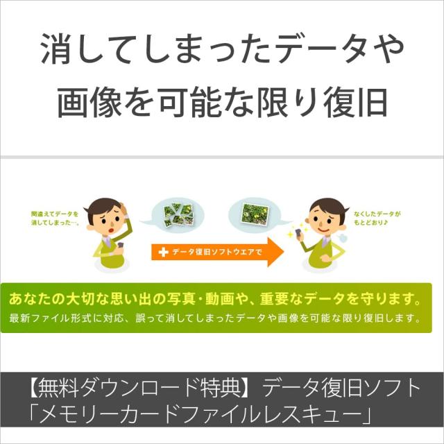 ソニー 【動画・連写に】 CFexpress Type Aメモリーカード CEA-G640T TOUGH 640GB(ILCE-1/FX6/FX3/FX30/ILCE-7SM3/ILCE-7M4対応)