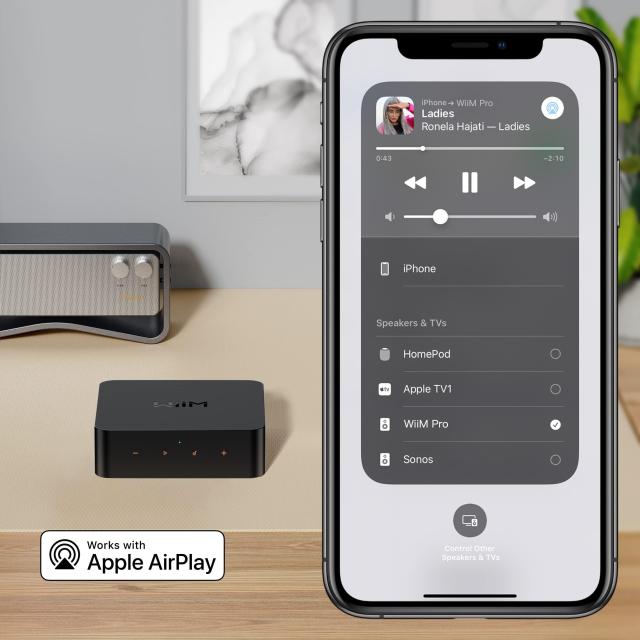 直輸入品】WiiM Pro AirPlay 2 レシーバー、クロームキャスト対応