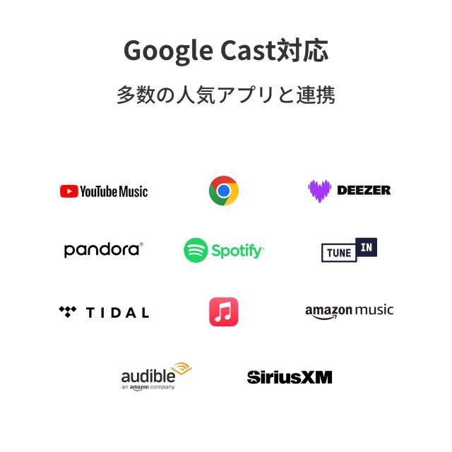 直輸入品】WiiM Pro AirPlay 2 レシーバー、クロームキャスト対応