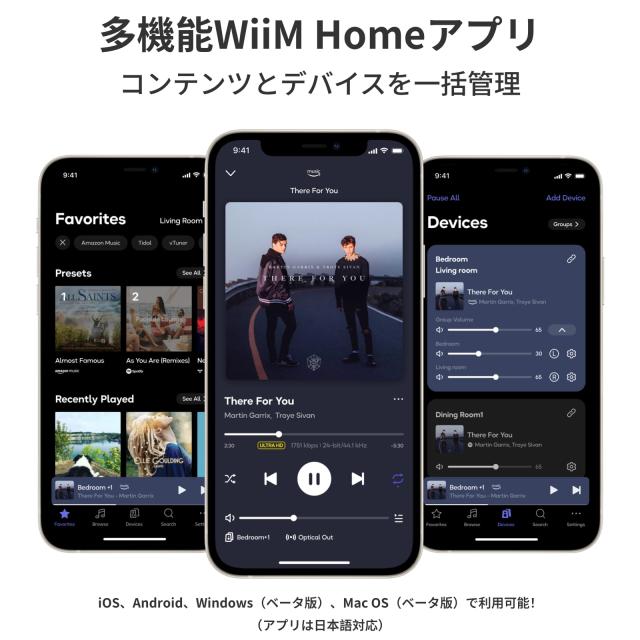 直輸入品】WiiM Pro AirPlay 2 レシーバー、クロームキャスト対応