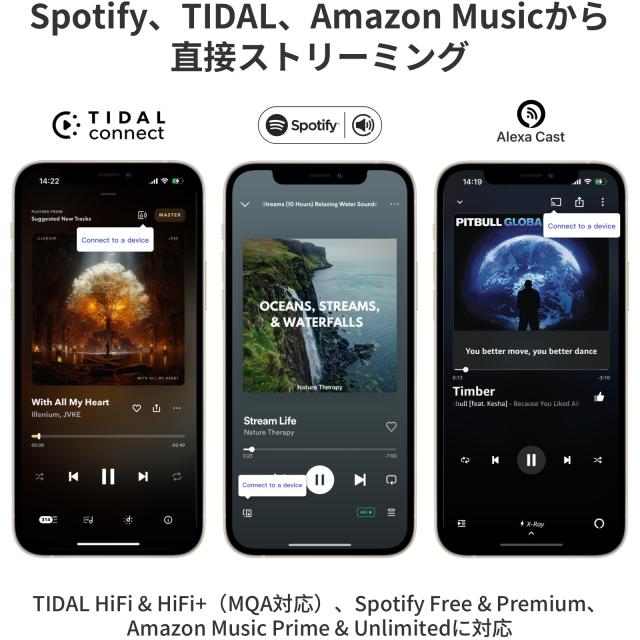 WiiM Pro AirPlay 2 レシーバー、Chromecast Audio、WiFi Multiroom