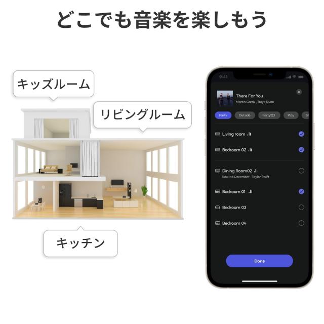 直輸入品】WiiM Pro AirPlay 2 レシーバー、クロームキャスト