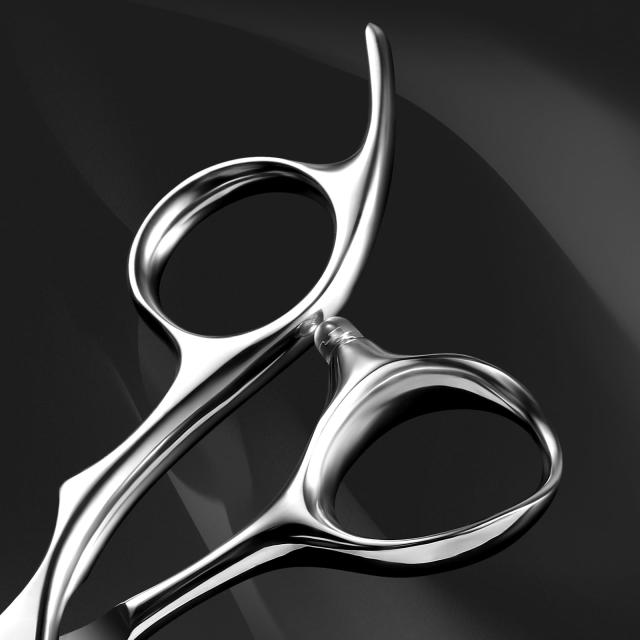 AOLANDUO 6 ”マスターシリーズ理髪はさみ - 丁寧に鋳造されたVG10鋼