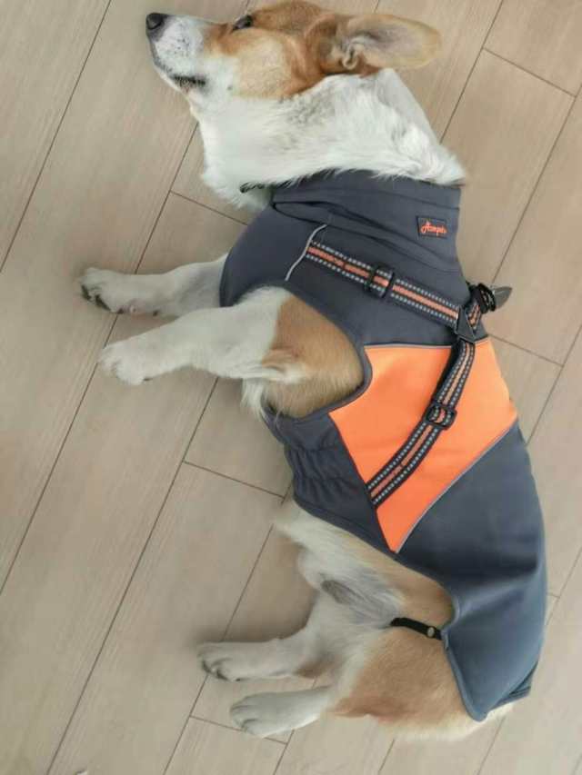 ASMPET 犬 コート 冬用 防寒着 犬 服 小型犬 中型犬 防水 ドッグウェア