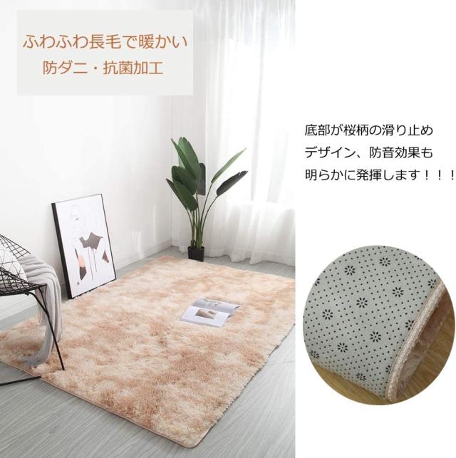 カーペット SpyFlyLie 洗えるラグ 北欧 長方形 ラグマット極厚毛足約4.0cm 絨毯 防ダニ 滑り止め付 抗菌 防臭 ふわふわ 秋冬 冷房 床暖房_4