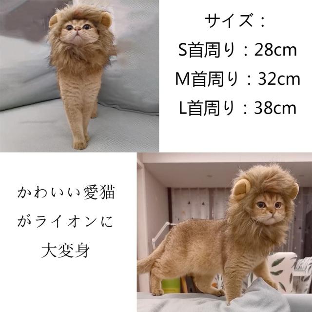 アニマル 被り物 キャップ コスプレ さる 犬 くま キリン ライオン ヒョウ 61mPFJDGFuL._SY350_QL65_.jpg