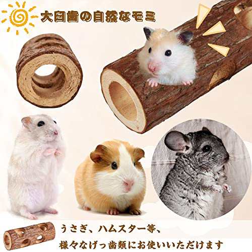 TBDBNR ハムスター 歯磨き 天然木製 無添加 小動物用 1セット
