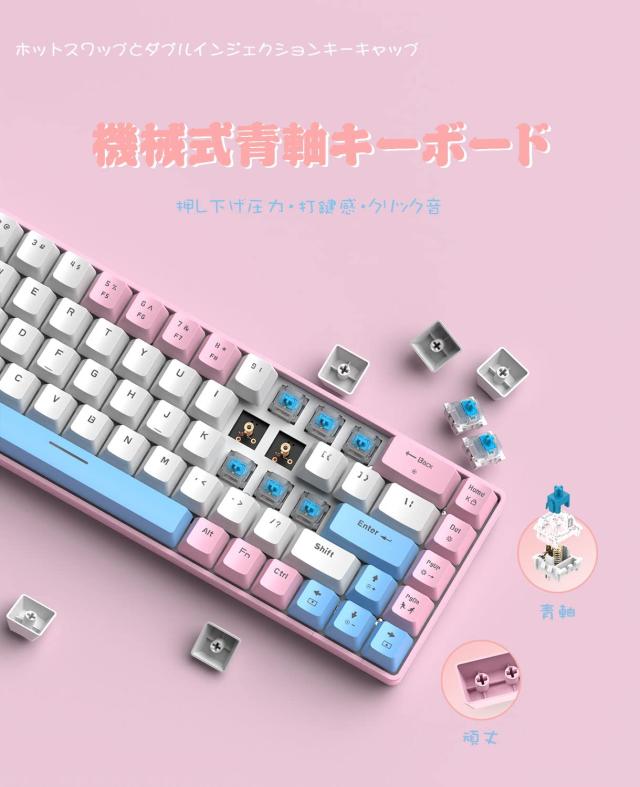 ZIYOU LANG T8 60%メカニカル式キーボードマウスセット 青軸 有線
