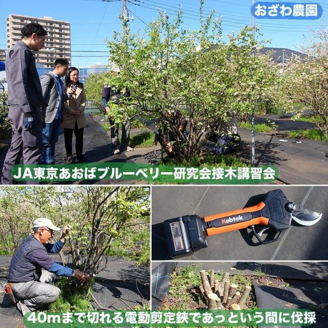 2023年アップグレード版、引金連動機能 充電式剪定バサミ 18V コードレス 電動剪定ばさみ テフロン非粘着性コーディング刃 切れ味良い&植木を健康に保つ 2023年アップグレード、引金連動機能Kebtek 充電式剪定バサミ 18V