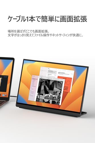 EHOMEWEI モバイルモニター WQXGA 16インチ 2K 2560x1600 【Windows/MacOS】対応 タッチパネル タッチペン対応 ペンタブ 100% DCI-P3 超