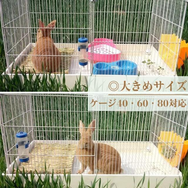 IYOIYA うさぎ マット 42*28 大きい 3枚セット 小動物 チモシー