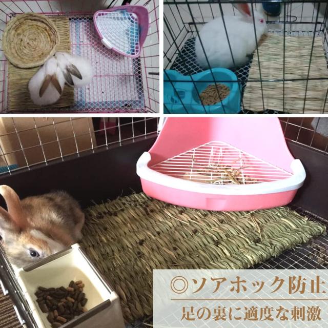 IYOIYA うさぎ マット 42*28 大きい 3枚セット 小動物 チモシー