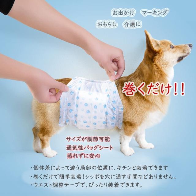 犬 おむつ 男の子用おむつカバー パック ズレずに安心 高吸収性 漏れにくいおむつウェア お漏らし対策 高齢犬介護 マーキング防止 消臭 の通販は