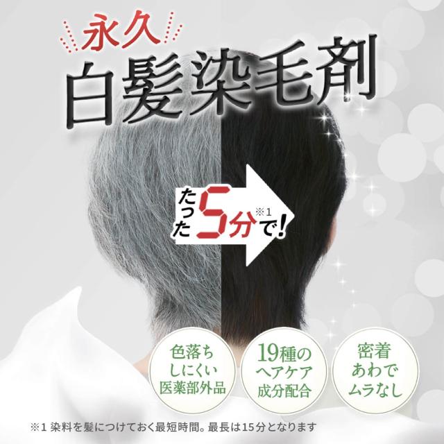エールボーテ ヘアカラームース 白髪染め 泡タイプ 脱色剤フリー 医薬部外品 4個_1