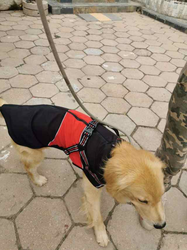 ASMPET 犬服 秋冬 コート 防水 防寒 犬 コート 冬 防寒着 犬服 防風 暖かい お散歩 軽量 犬 ジャケット フリース 柔らかい ドッグウェア の通販は