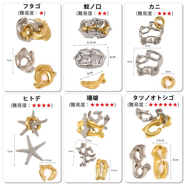 HUAZONTOM 知恵の輪 知恵おもちゃ 6点セット 難易度6〜2 リングパズル