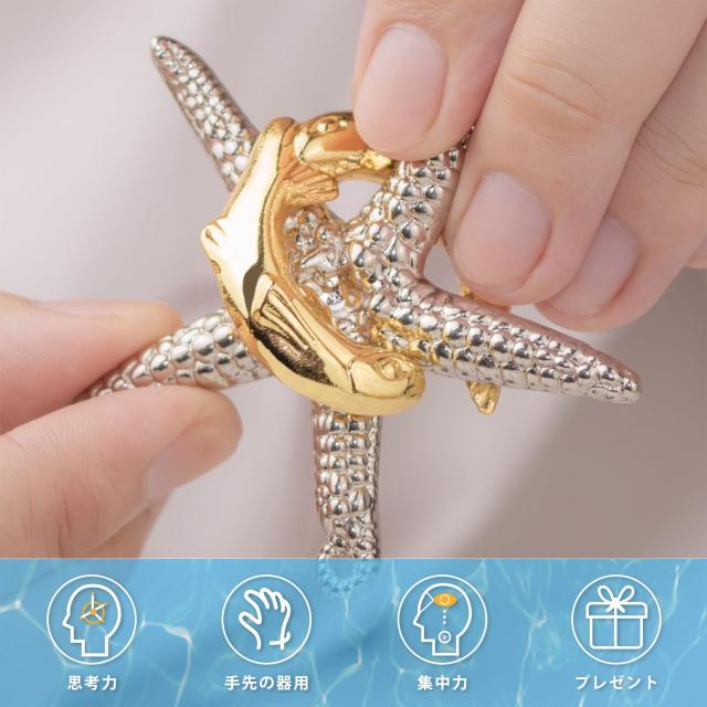 HUAZONTOM 知恵の輪 知恵おもちゃ 6点セット 難易度6〜2 リングパズル