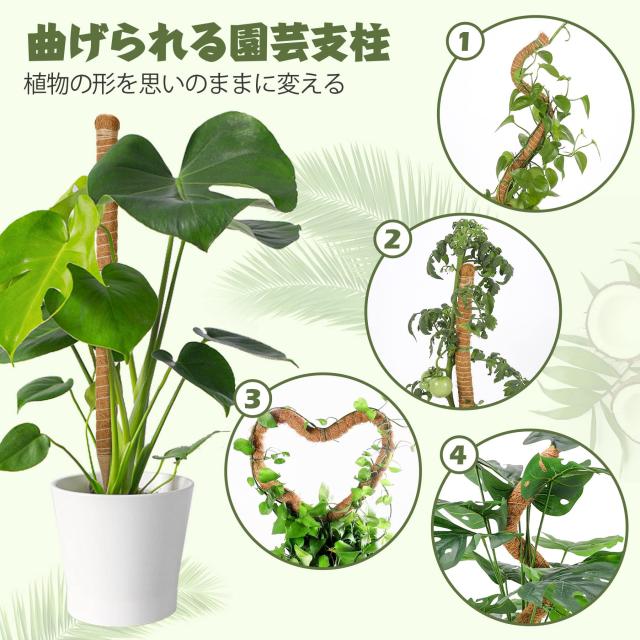 T4U 園芸支柱 64CM モンステラ ココナッツ支柱 観葉植物 つる植物