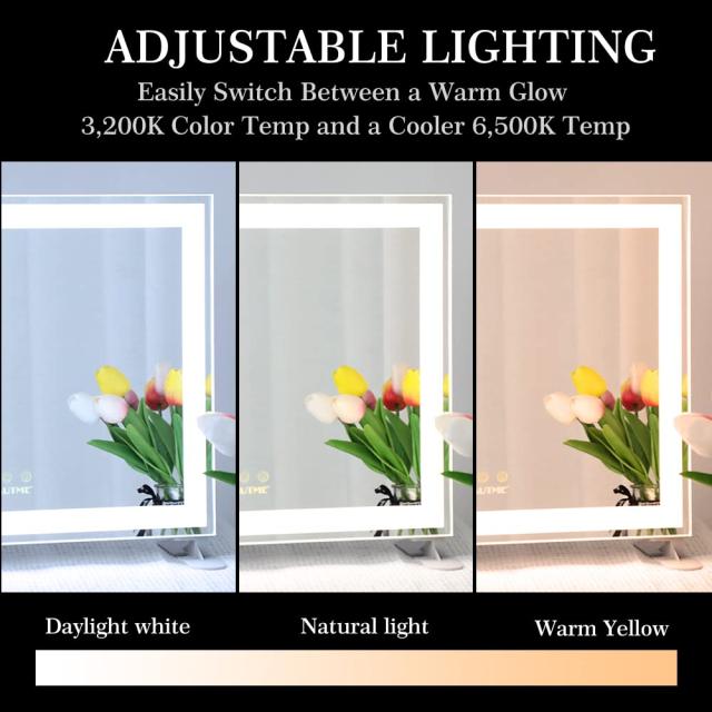 はな ビームス R-EVO サイレンサー サイレンサー ステンレス BEAMS バイク