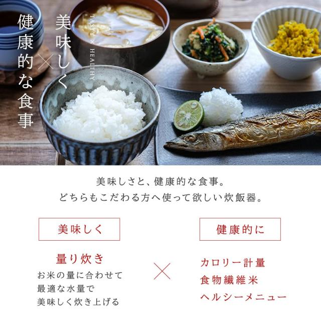 アイリスオーヤマ IHジャー炊飯器 5.5合 RC-ICA50-H グレー