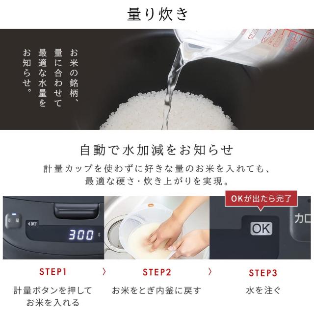 アイリスオーヤマ IHジャー炊飯器 5.5合 RC-ICA50-H グレー