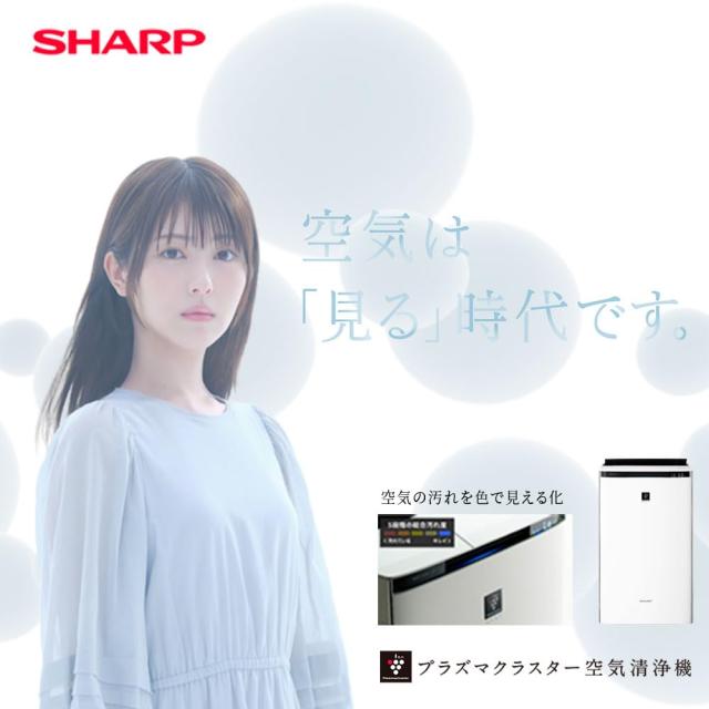 シャープ 加湿 空気清浄機 KI-RX100-W ホワイト プラズマクラスター 