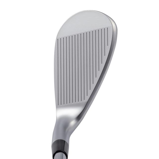 キャスコ ドルフィンウェッジ DW-123 N.S.PRO Zelos6 48