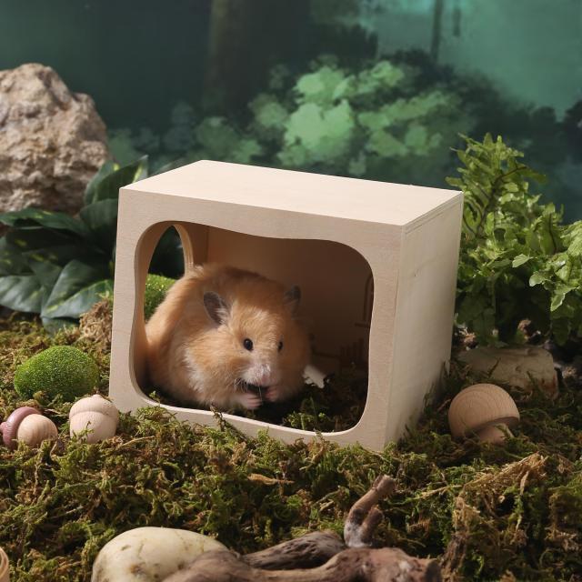 小動物用ハウス Tafit ハムスター ハウス 隠れ家 木製 ハムスター 家 小動物ペット