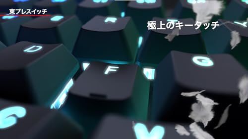 REALFORCE リアルフォース ラピッドトリガー キーボード 東プレ GX1 静音 45ｇ TKLサイズ 静電容量無接点方式 最速0.1mm作動 Windows 英_6