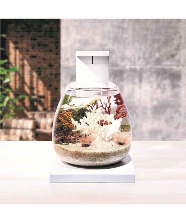 ジェックス GEX AQUARIUM グラスアクア PERCO T-WH オールインワン水槽