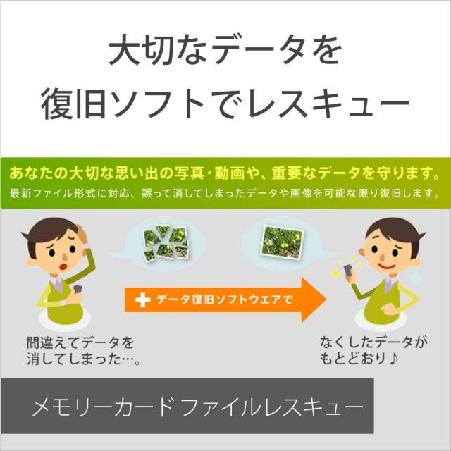 ソニー SONY SDXC メモリーカード 512GB SF-M512T Class10 UHS-II対応 タフ仕様