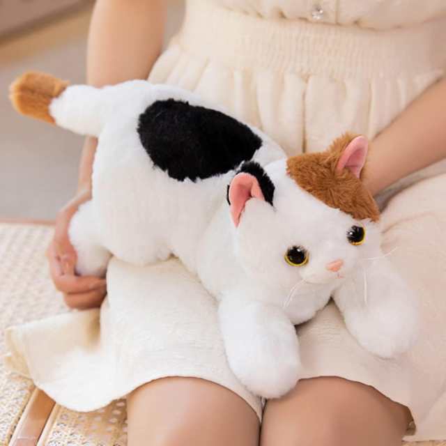 三毛猫 ぬいぐるみ 50cm ネコ 猫 抱き枕 リアル 生々しい寝具 可愛い 柔らかい ふわふわ もちもち ぬいぐるみ 可愛い 寝具 お祝い  ふわふの通販はau PAY マーケット - みんなのSHOP | au PAY マーケット－通販サイト