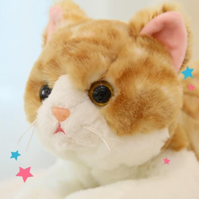 茶色の猫のぬいぐるみ 71VhCS+VV1L._AC_UL210_SR210,