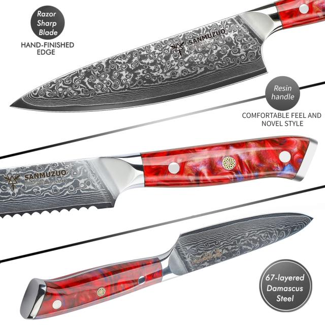 SANMUZUO Chef Cooking Knives Set- Kitchen Knife Set of 5
