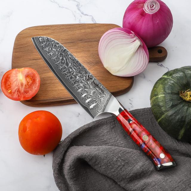 SANMUZUO Chef Cooking Knives Set- Kitchen Knife Set of 5
