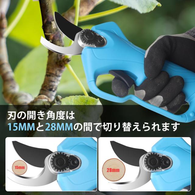 貴重 未使用 ポーランド 海外切手 記念切手シートなどまとめてセット