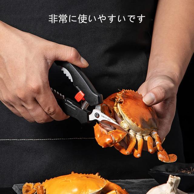 カニさま専用 22_kaniintro_02.jpg