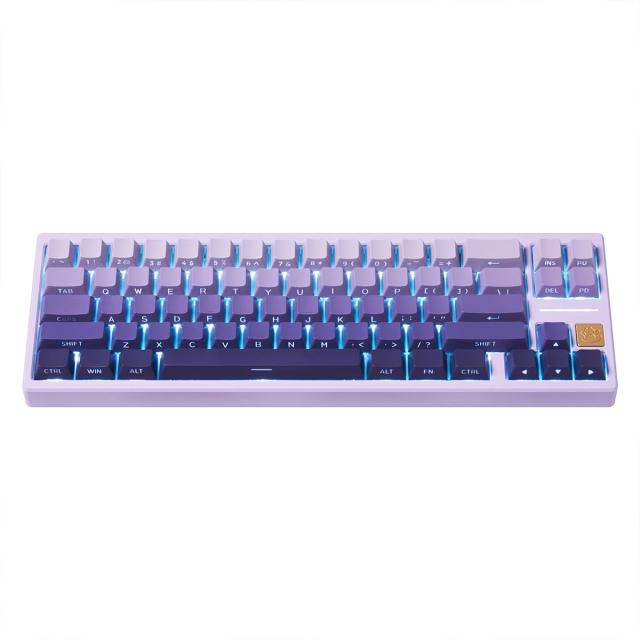 サイドプリントキーキャップ OEM 高さキーキャップダブルショットバックライト 134 個キーキャップセットメカニカルキーボード用半 PBTダブルショットキーキャップメカニカルキーボード用134キーグラデーションパープルバックライト付きOEMプロファイルキーキャップサイの通販はau  PAY マーケット - BERU | au PAY マーケット－通販サイト