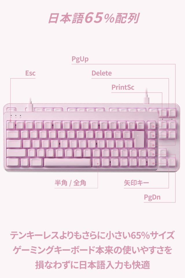 エレコム ゲーミングキーボード V-custom VK300S 有線 RGB テンキーレス 65%サイズ メカニカル ネオクラッチキーキャップ 銀軸 スピード_2