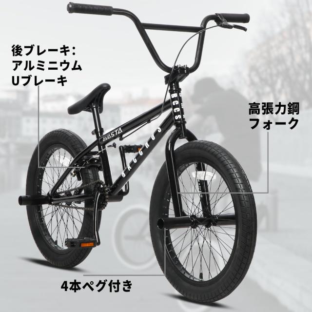 AVASTA BacchusBMX 自転車 20インチ フリースタイルBMXバイク スチール