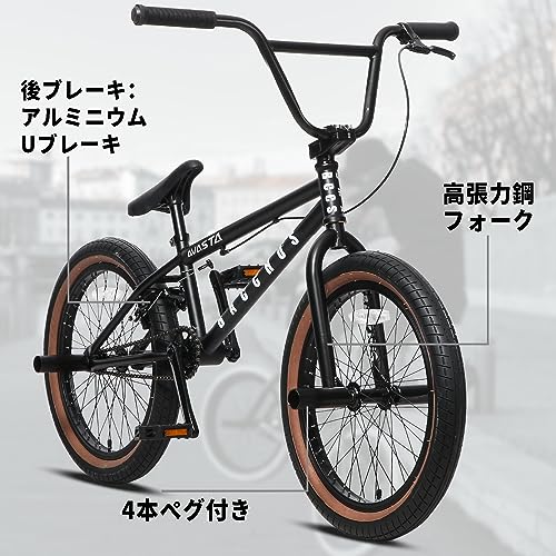 AVASTA Bacchus BMX 20インチ ブラック AVASTA Bacchus BMX 20インチ ブラック