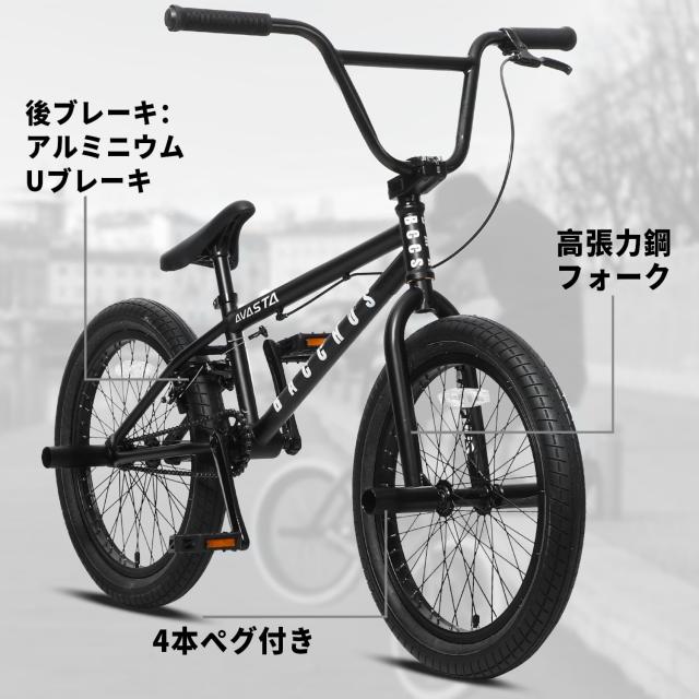 AVASTA BacchusBMX 自転車 20インチ フリースタイルBMXバイク スチール