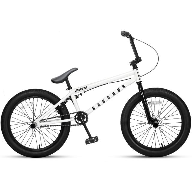 AVASTA BucchusBMX 自転車 20インチ フリースタイルBMXバイク スチール