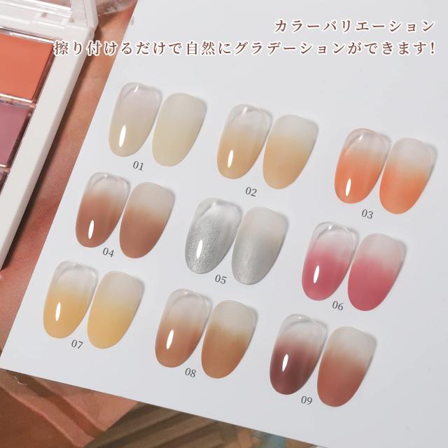 Coikaze グラデーション ネイル パウダー 9色 パレット ネイル