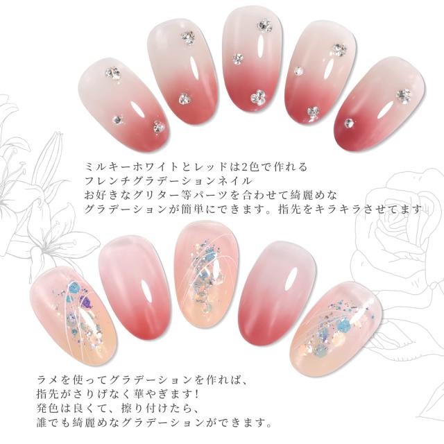 Coikaze グラデーション ネイル パウダー 9色 パレット ネイル