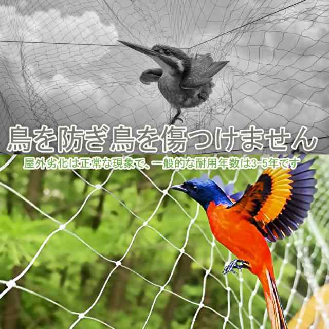 鳩よけネット 防鳥ネット透明 3×8m 鳥よけネットベランダ（結束バンド 15本付き）KIKILULU カラス 鳩侵入防止 鳥害対策 防鳥網  細かい25の通販はau PAY マーケット - Ｅ４Ｌｉｆｅ | au PAY マーケット－通販サイト